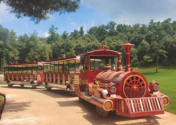 58座觀光火車-車頭定制