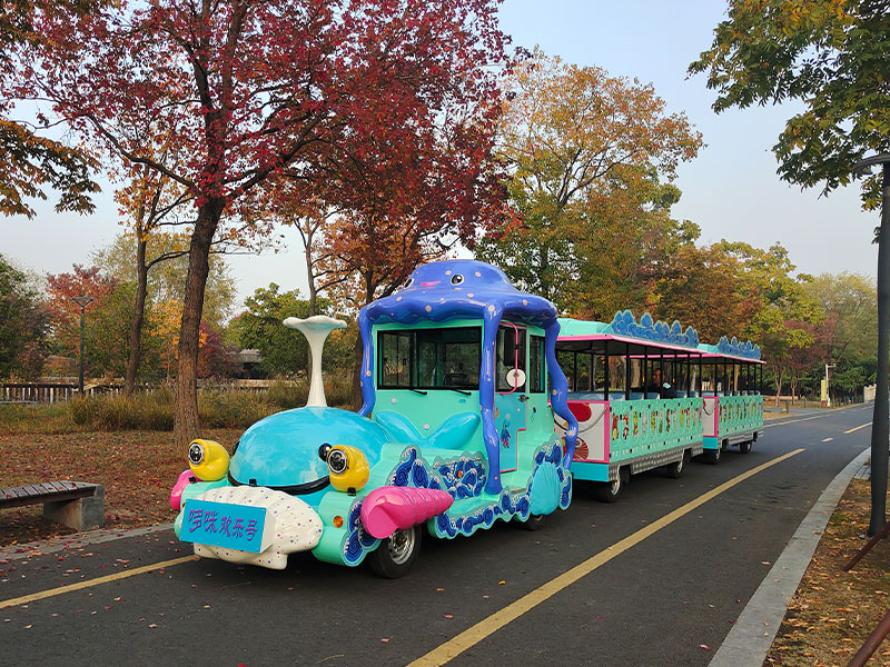 無(wú)軌小火車游樂(lè)設(shè)備